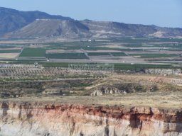 Castillo de Alcala 2009